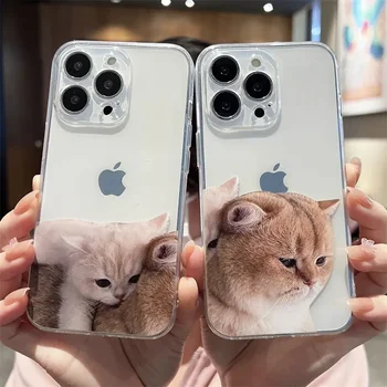 Aranyos macskák fotók Telefontok IPhone 15 Pro Max 11 13 12 Mini X XS MAX XR SE2 14 7 8 Plus Animal Pár átlátszó puha fedőhéj